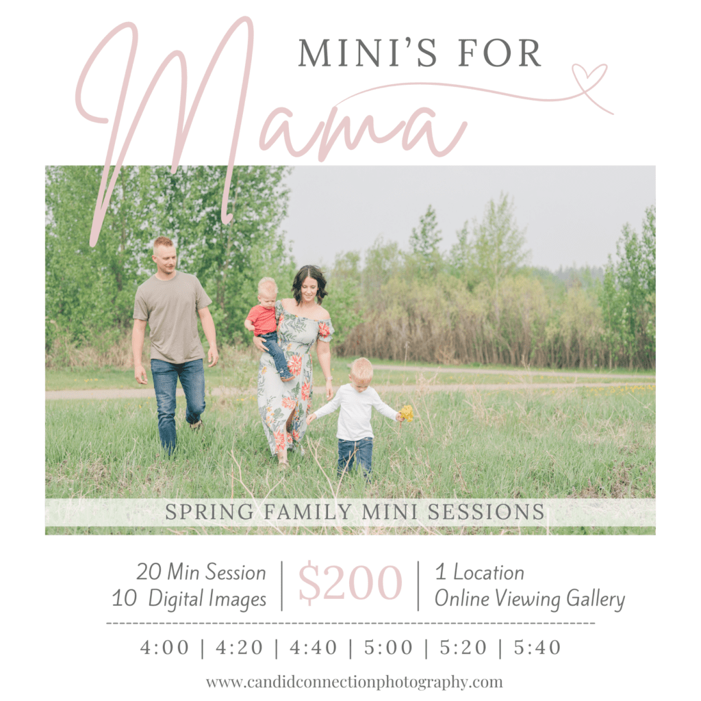 Spring Family Mini Sessions Red Deer